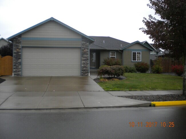 Primary Photo - OWN798