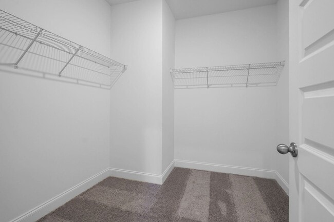 Building Photo - 4925 Turquoise Ln
