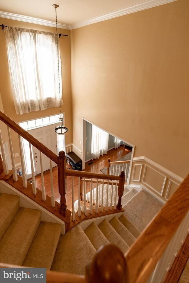Building Photo - Luxury living in Lorton Valley