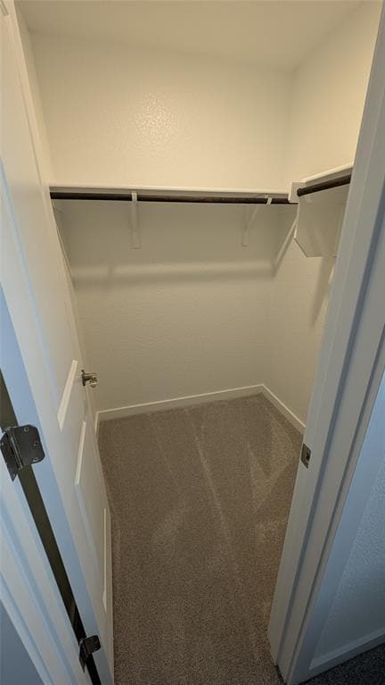 Building Photo - 441 Bristlecone Bend