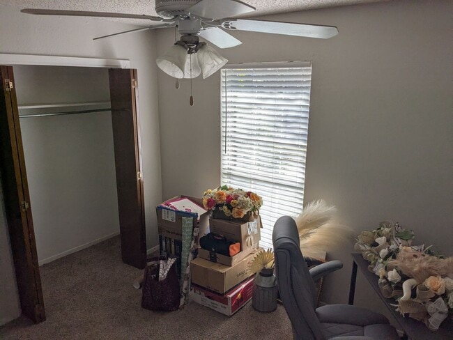 Building Photo - 3 Bed 2 Bath Home - Park Access