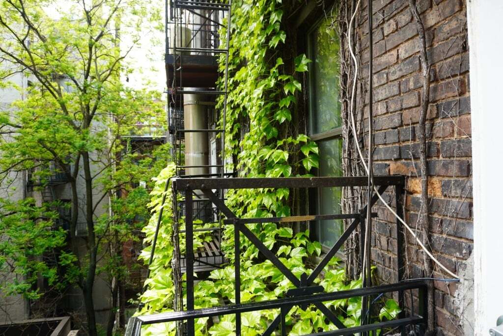 Building Photo - 250 Mott St