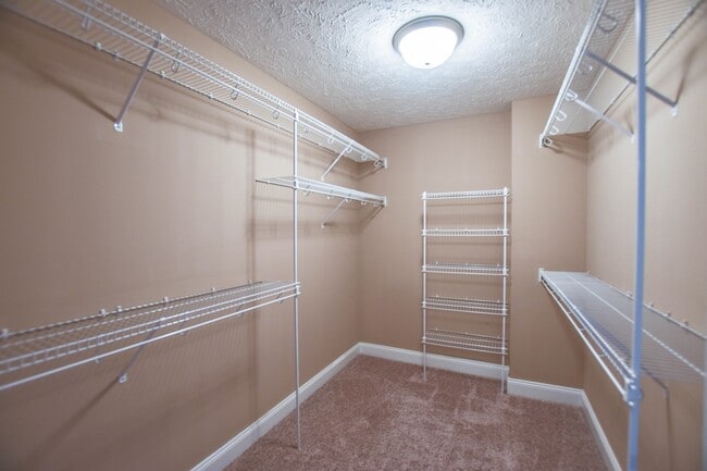 Building Photo - Pet Friendly in Fox Meadow!