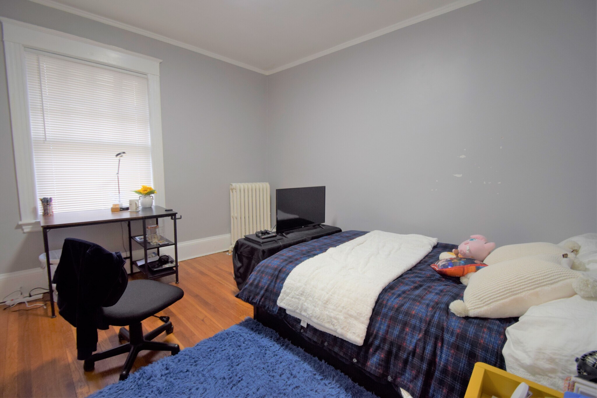 Building Photo - 235 Chestnut Hill Ave