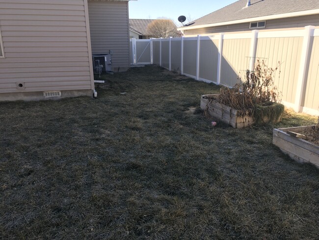 Side yard - 1230 Knoll Ridge Rd