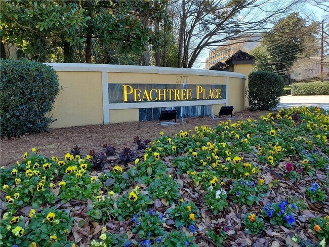 Building Photo - 3777 Peachtree Rd