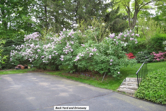 Building Photo - 100 Davis Ave