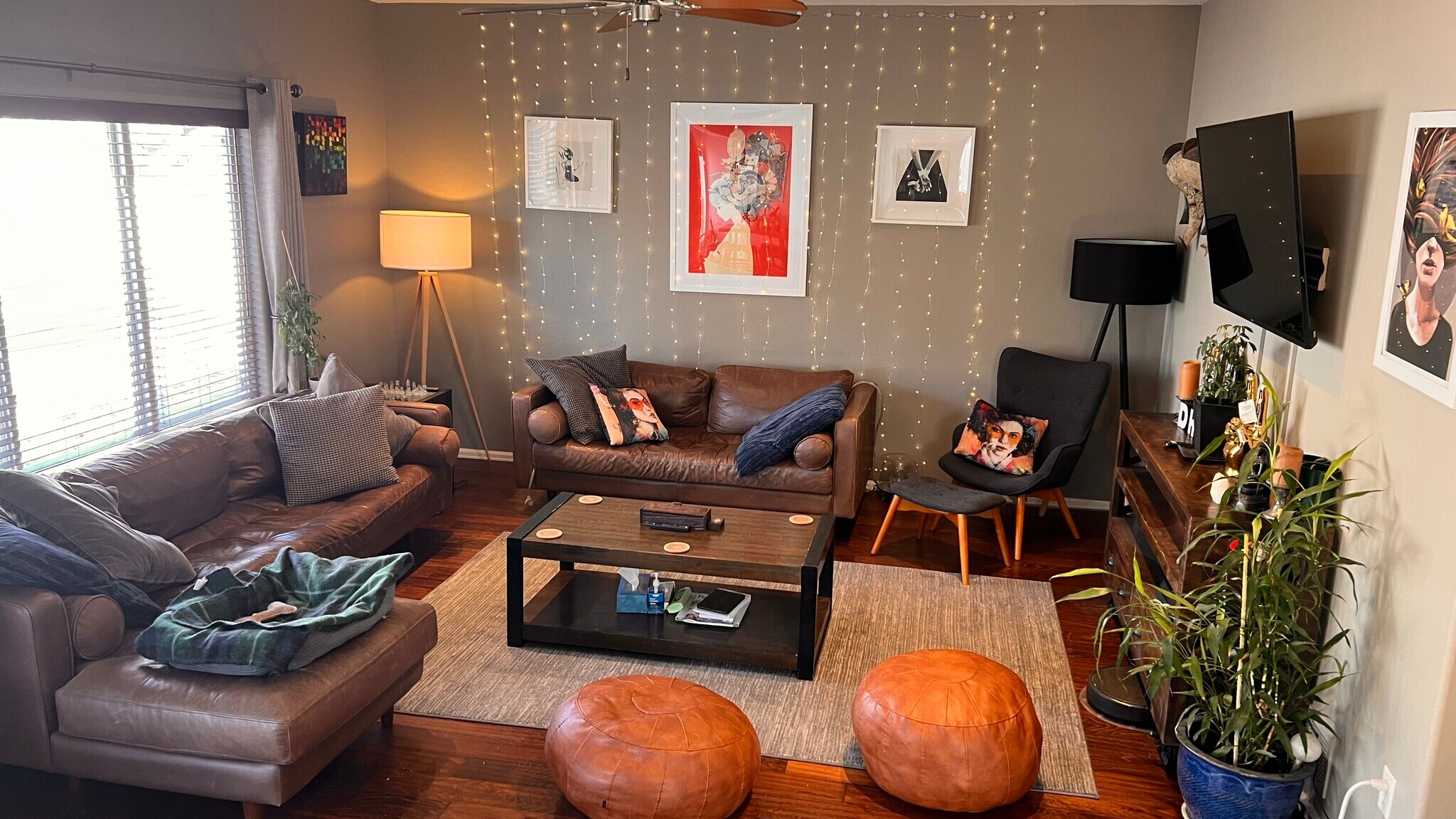 Living room - 2633 Clarion Ln