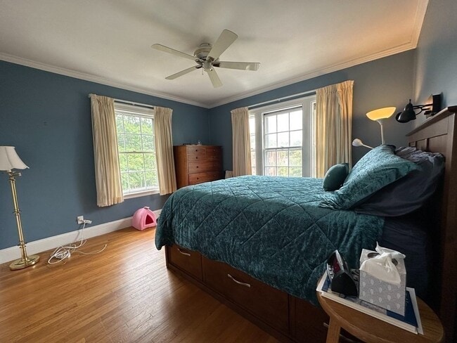 Building Photo - 40 Linnaean St