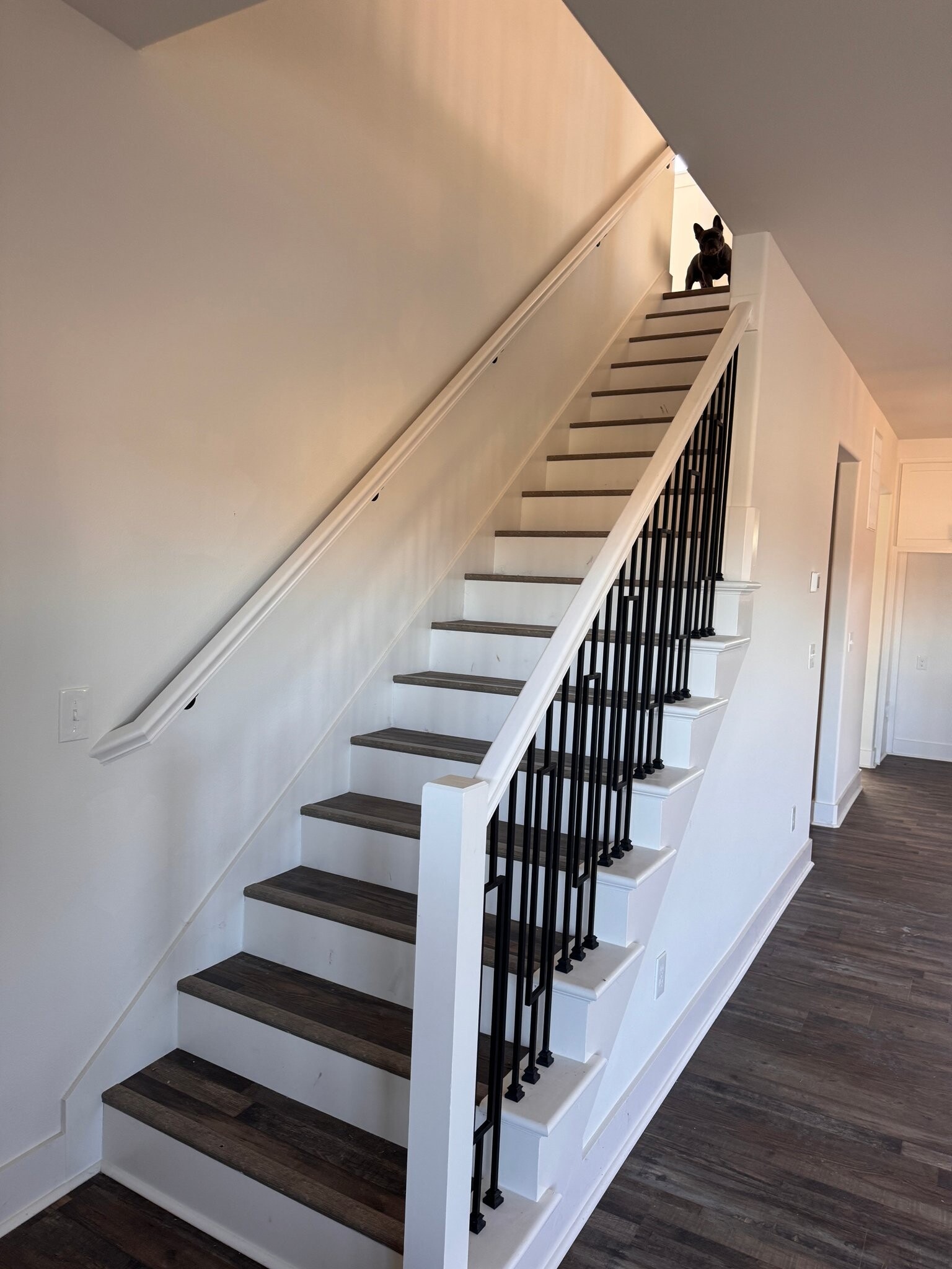 Building Photo - 222 Nebo St