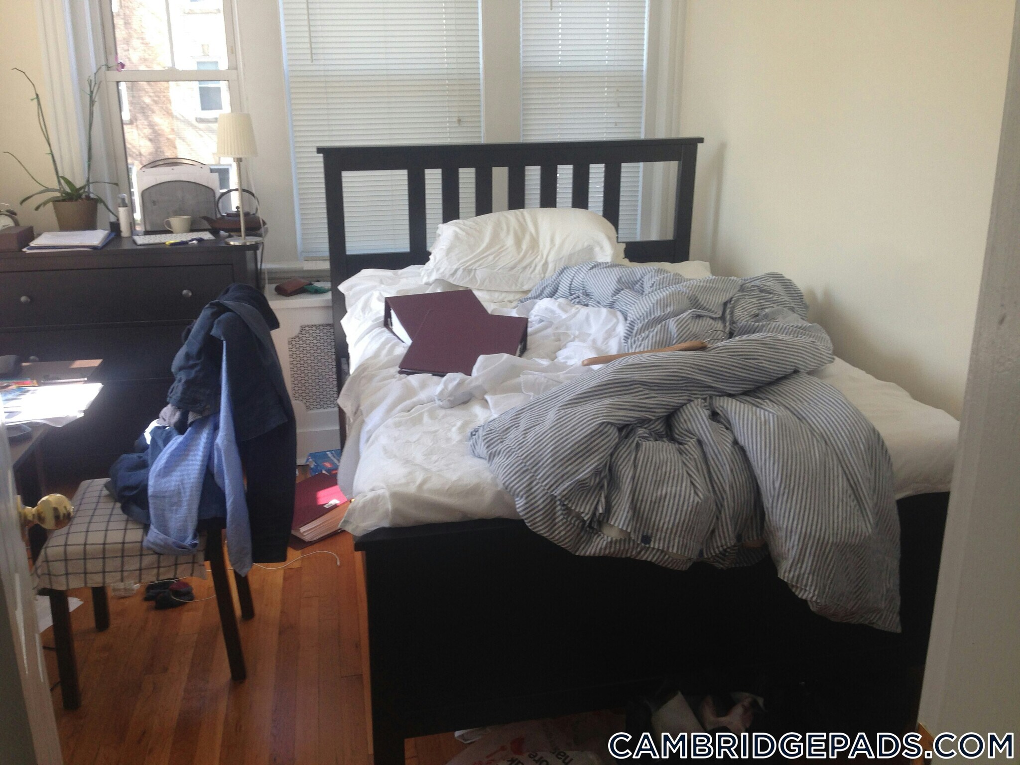 Building Photo - 1 Langdon St