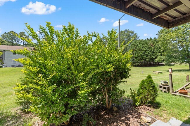 Building Photo - 1208 Manassas Ct