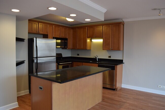 Building Photo - 1360 N Sandburg Terrace