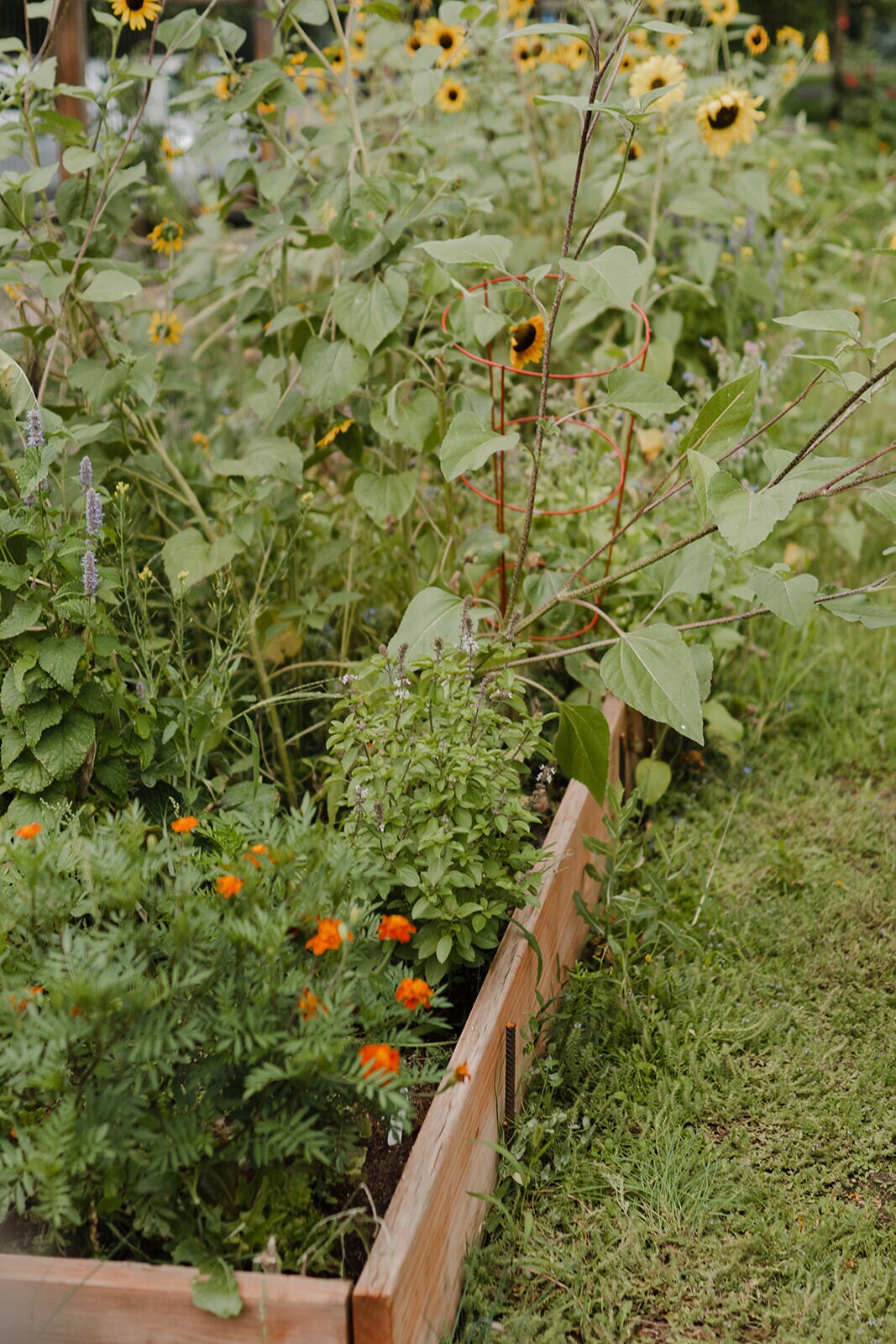 Building Photo - 3030 Oneal Pkwy