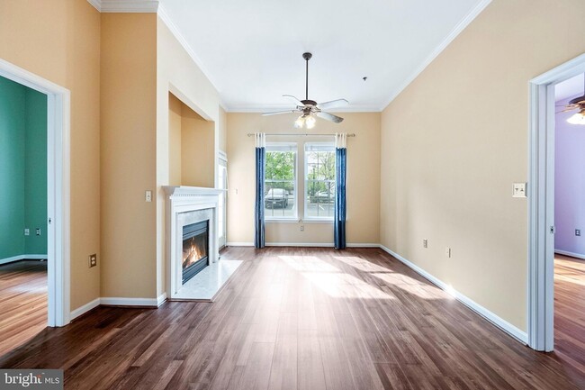 Building Photo - 171 Somervelle St
