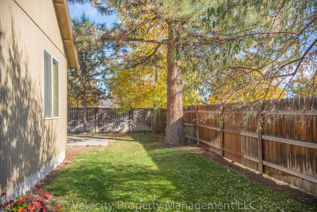 Building Photo - Light and bright 3 bedroom, 2 bath home - 1 dog considered!