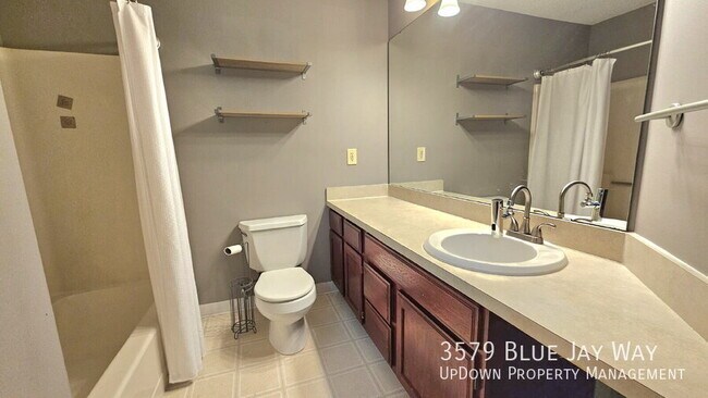 Building Photo - 3579 Blue Jay Way