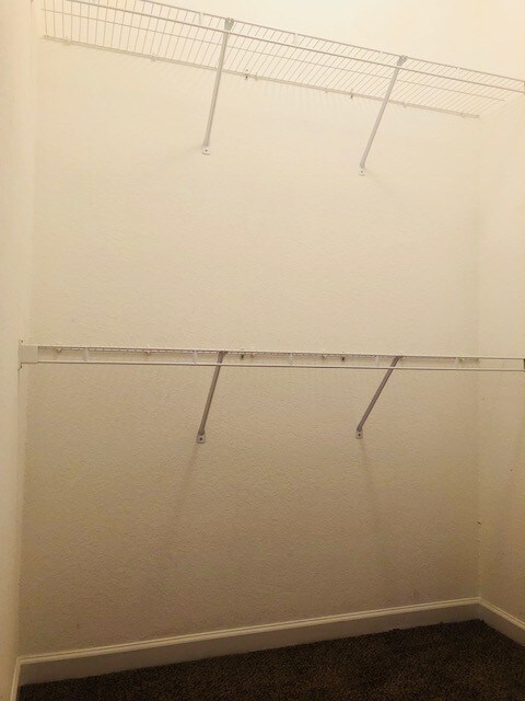 Building Photo - 4204 Sydney Cove