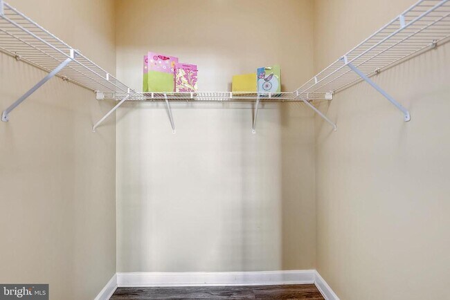 Building Photo - 22641 Blue Elder Terrace