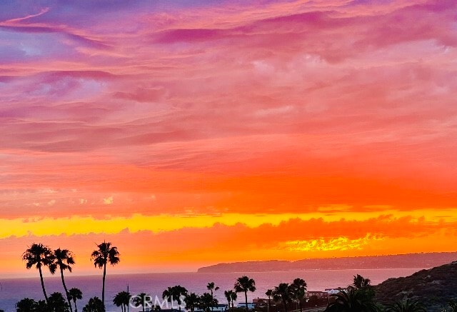 Building Photo - 1541 Buena Vista