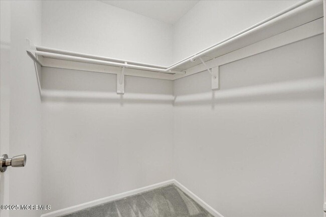 Building Photo - 291 Plum Dr