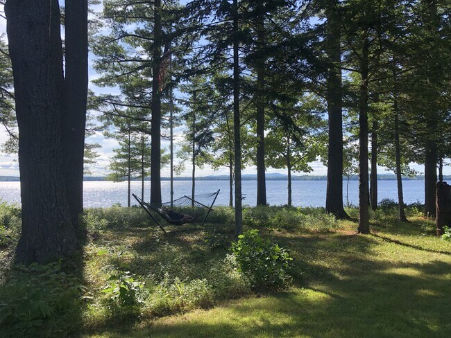 Building Photo - 1140 Roosevelt Trail