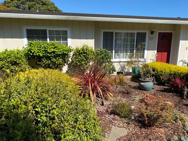 Building Photo - Beautiful Pacific Grove Home
