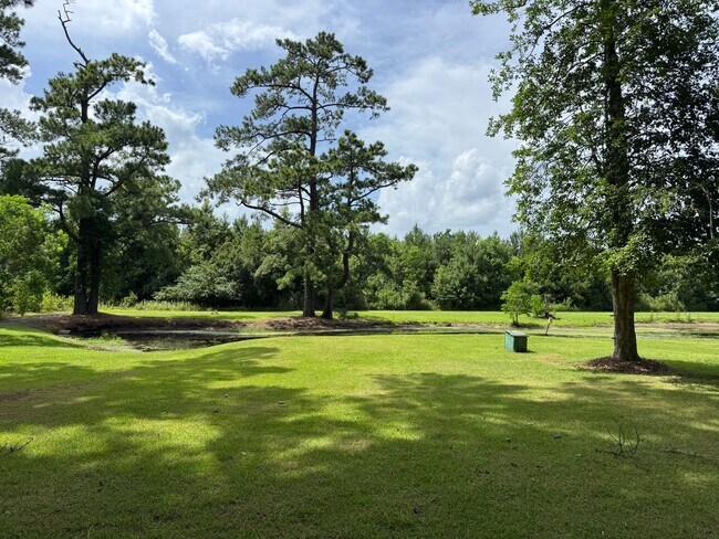 Building Photo - Beautiful home in Carolina Pines