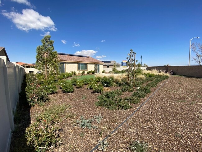 Building Photo - Desert Paradise Near You!
