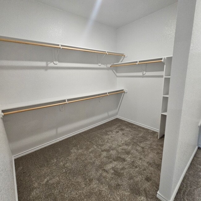 Building Photo - Beautiful new custom home