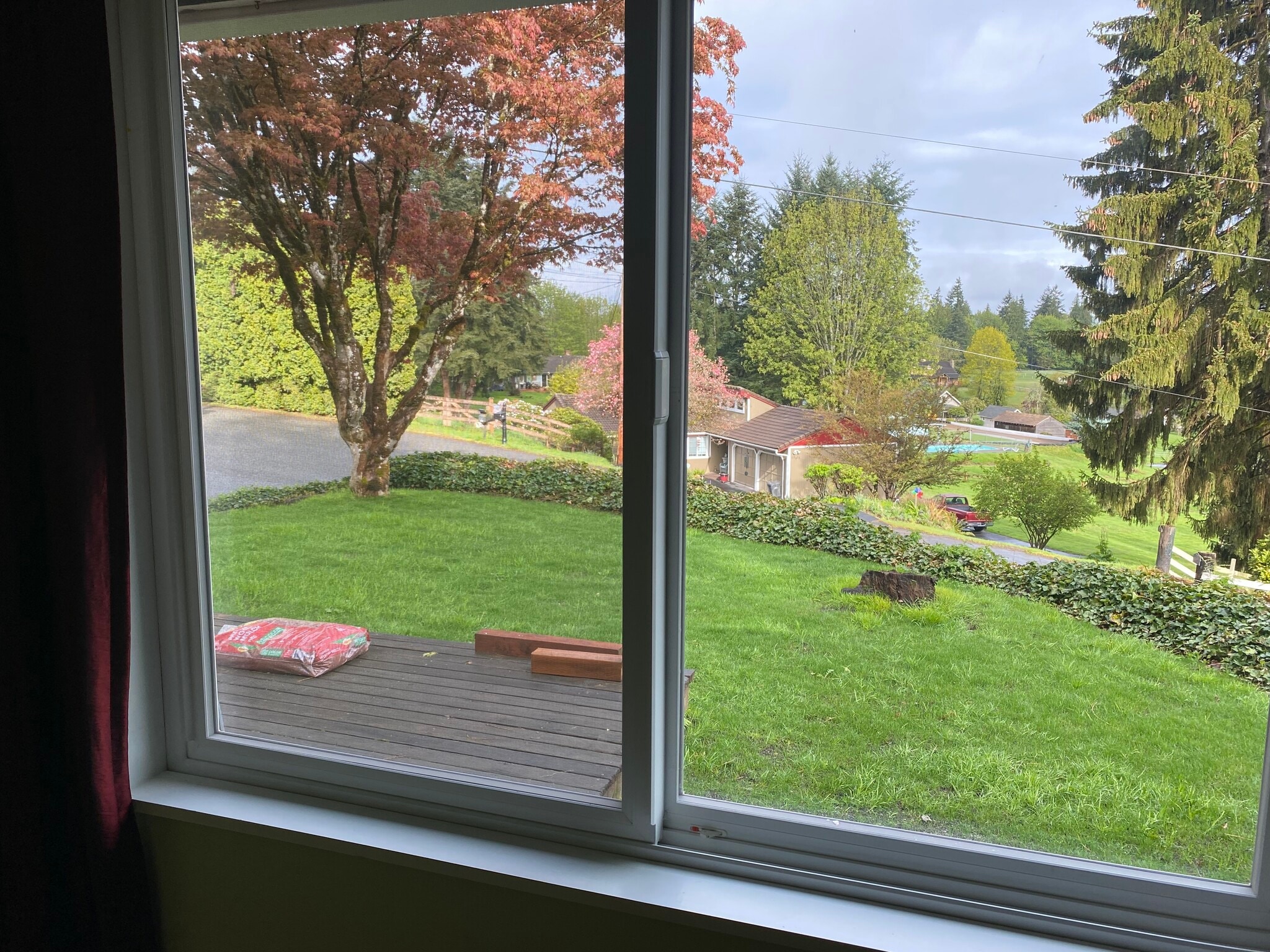 Looking out guest brdm window - 12830 141st Pl SE