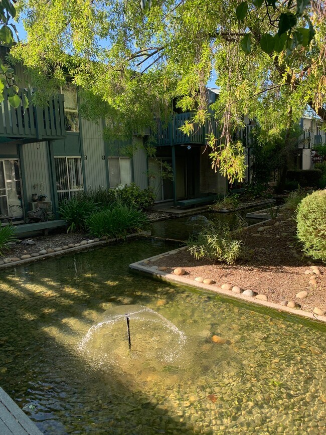 Courtyard fountains - 1036 Oak Grove Rd