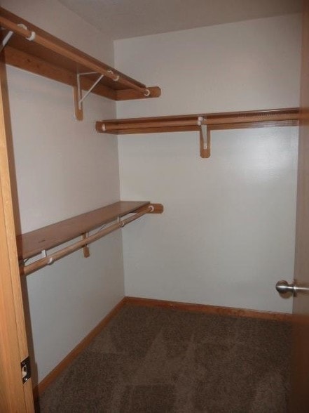 Building Photo - 917 Jackalope Ct