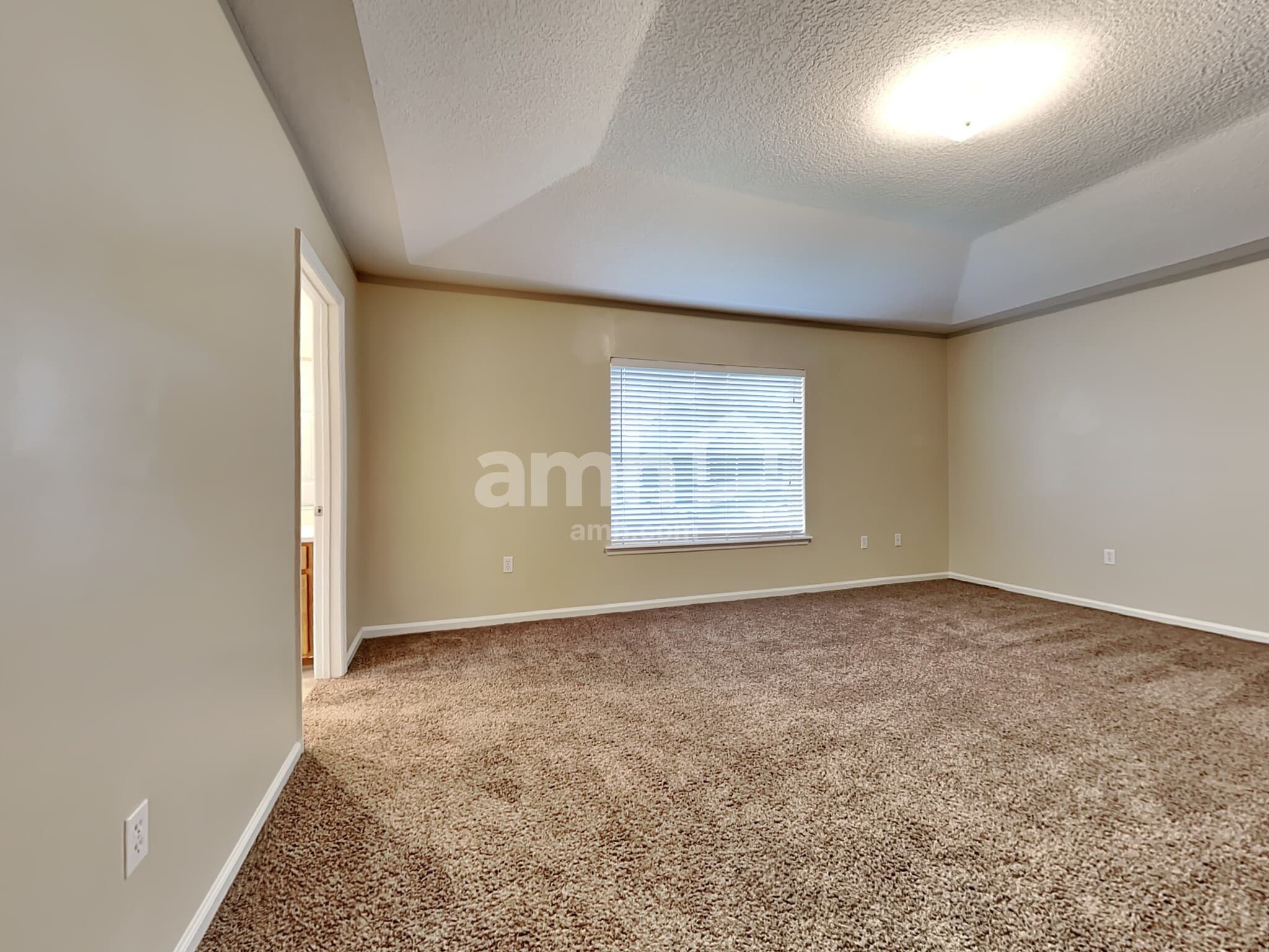 Building Photo - 9243 Prosperity Lake Dr