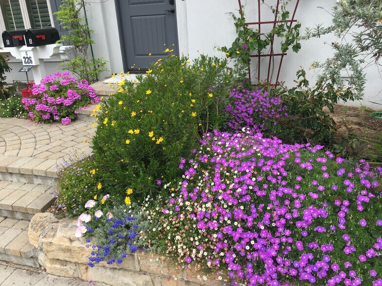 Building Photo - 226 W De La Guerra St