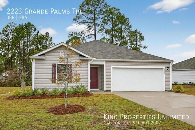 Building Photo - 2223 Grande Palms Trl