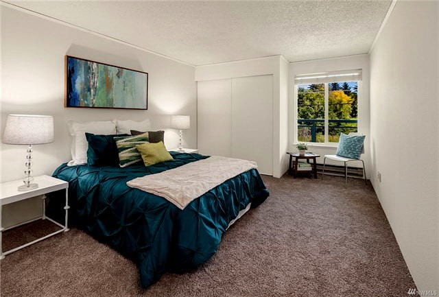 Large Bedroom with 3 Closets - 10501 8th Ave NE