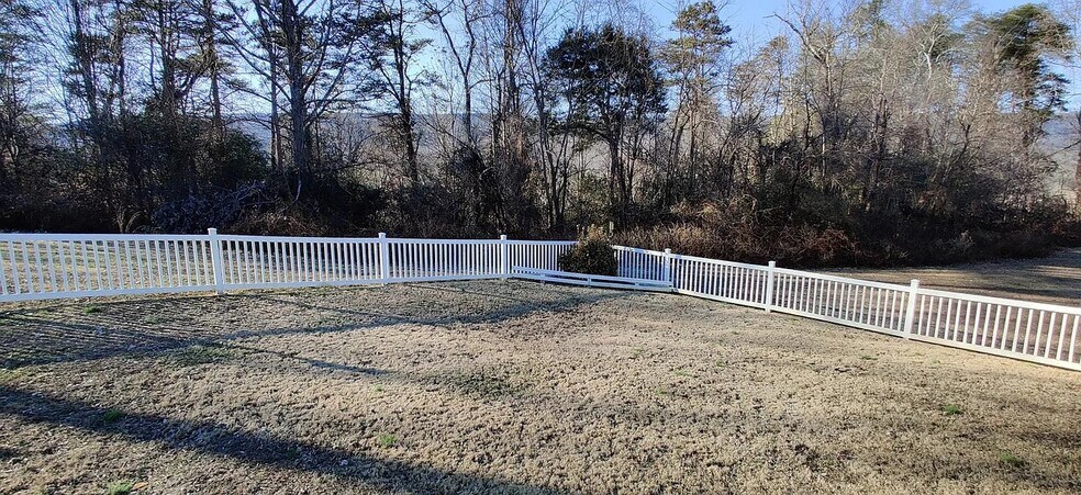 Backyard view 2 - 1145 Ashley Ln