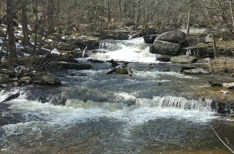 Building Photo - 60 Ruth Way Rd