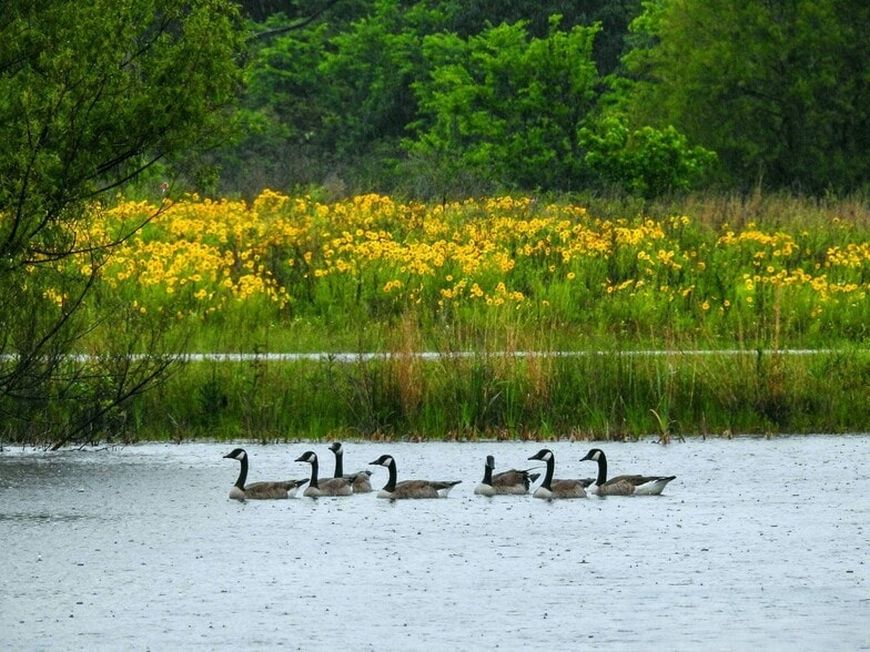 Building Photo - 516 The Heights Ln