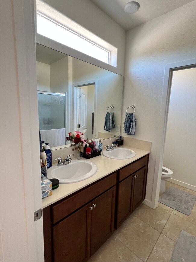 Master Bathroom - 4711 Falcon Rock Ln