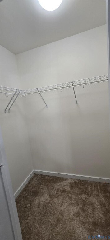 Building Photo - 9005 White Plains Ct