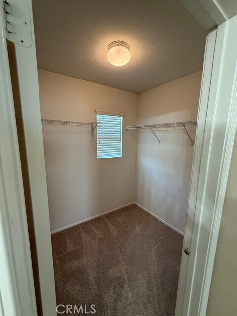 Building Photo - 33072 Gypsum St