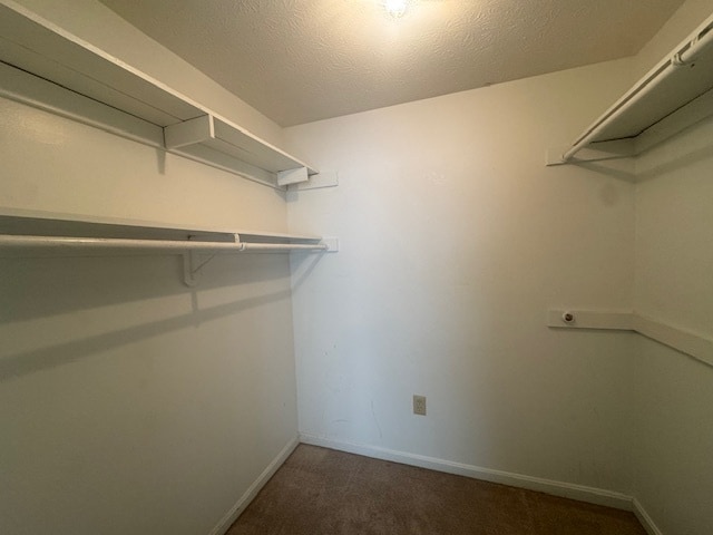 Building Photo - 1175 Brook Ct