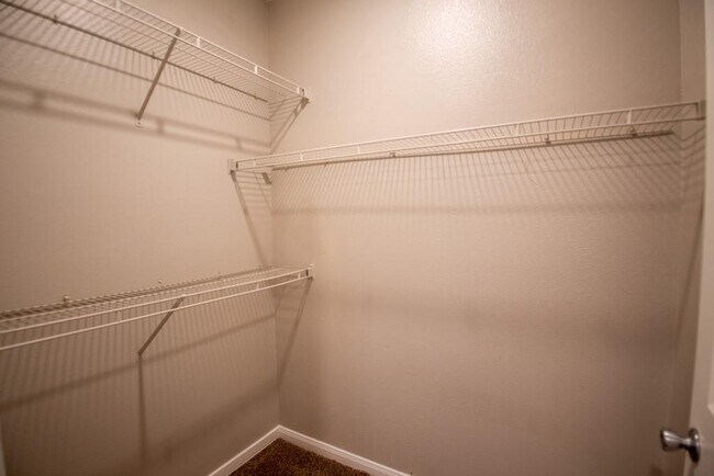 Building Photo - 2320 Gracy Farms Ln