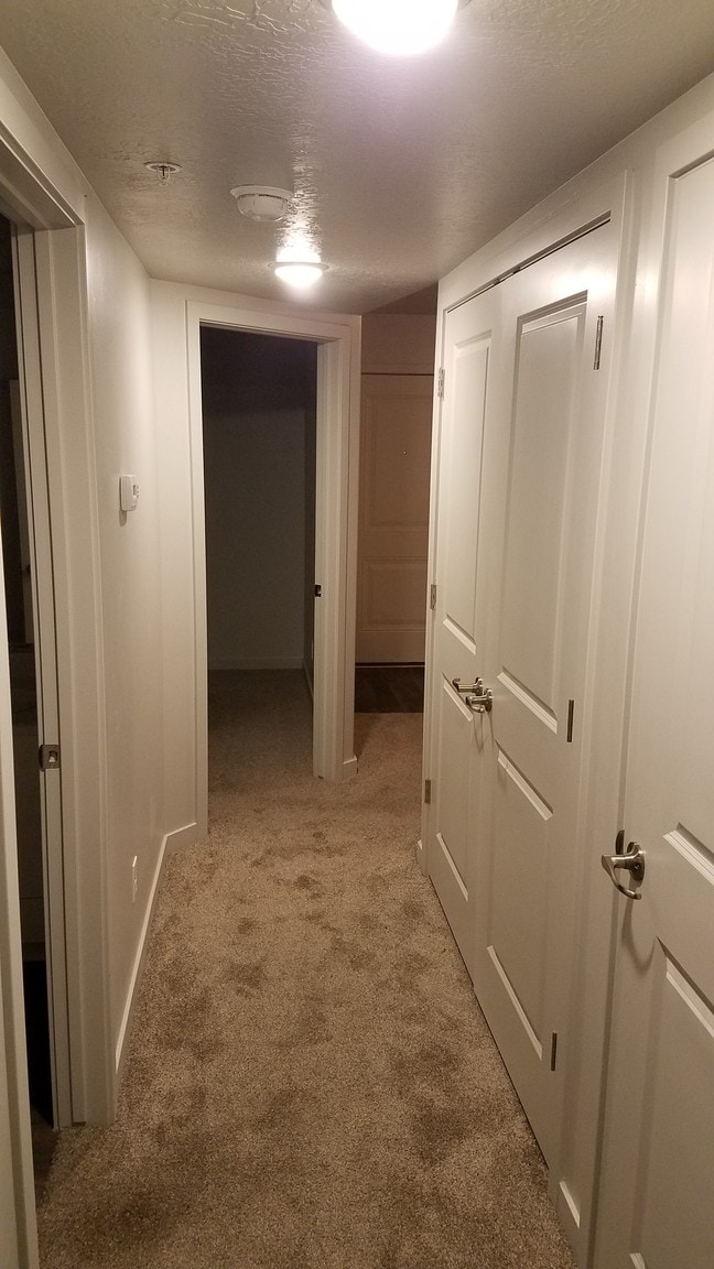 Hall - 1700 Sandhill Rd