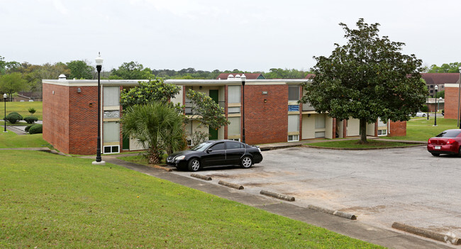 Primary Photo - Palmetto South Apartment