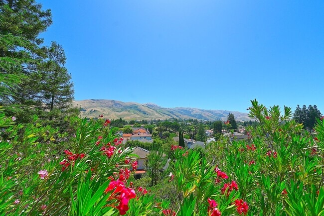 Building Photo - $5,900 - GORGEOUS 4 BEDROOM HOME IN MISSION SAN JOSE NEIGHBORHOOD