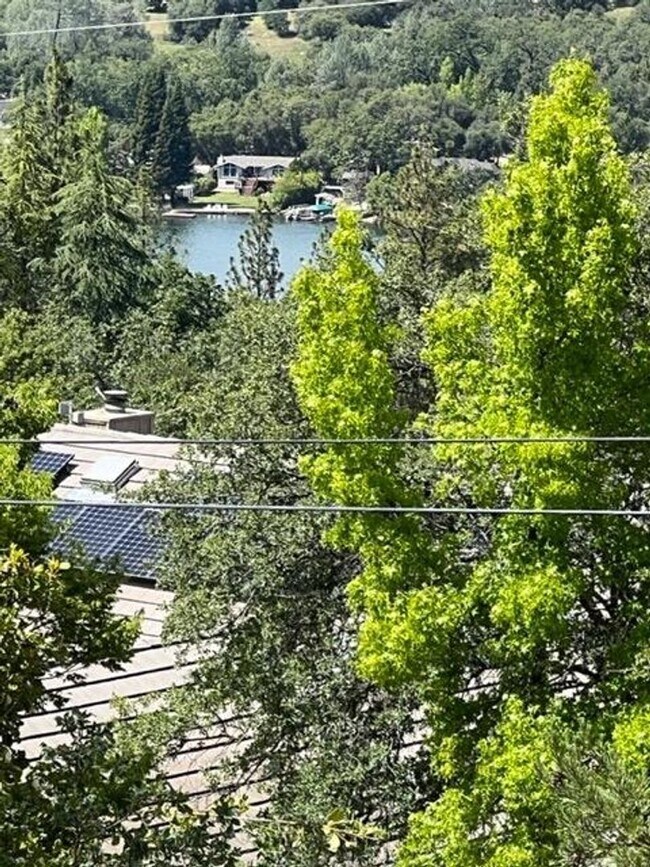 Building Photo - Lake Wildwood 3 Bedroom!