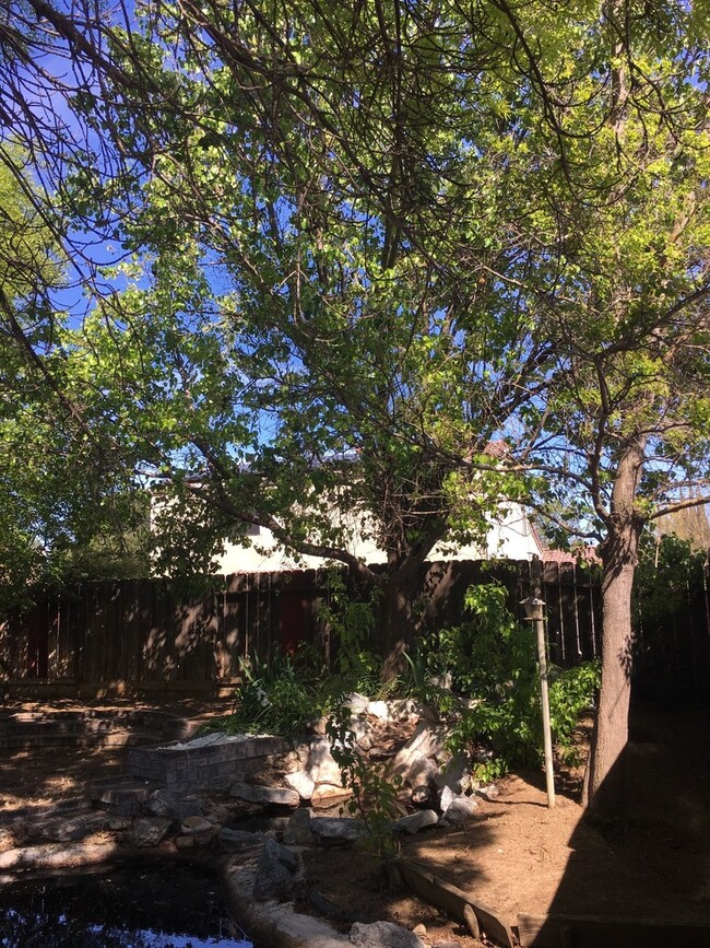 Building Photo - REDUCED!!  Great Location in College Green...